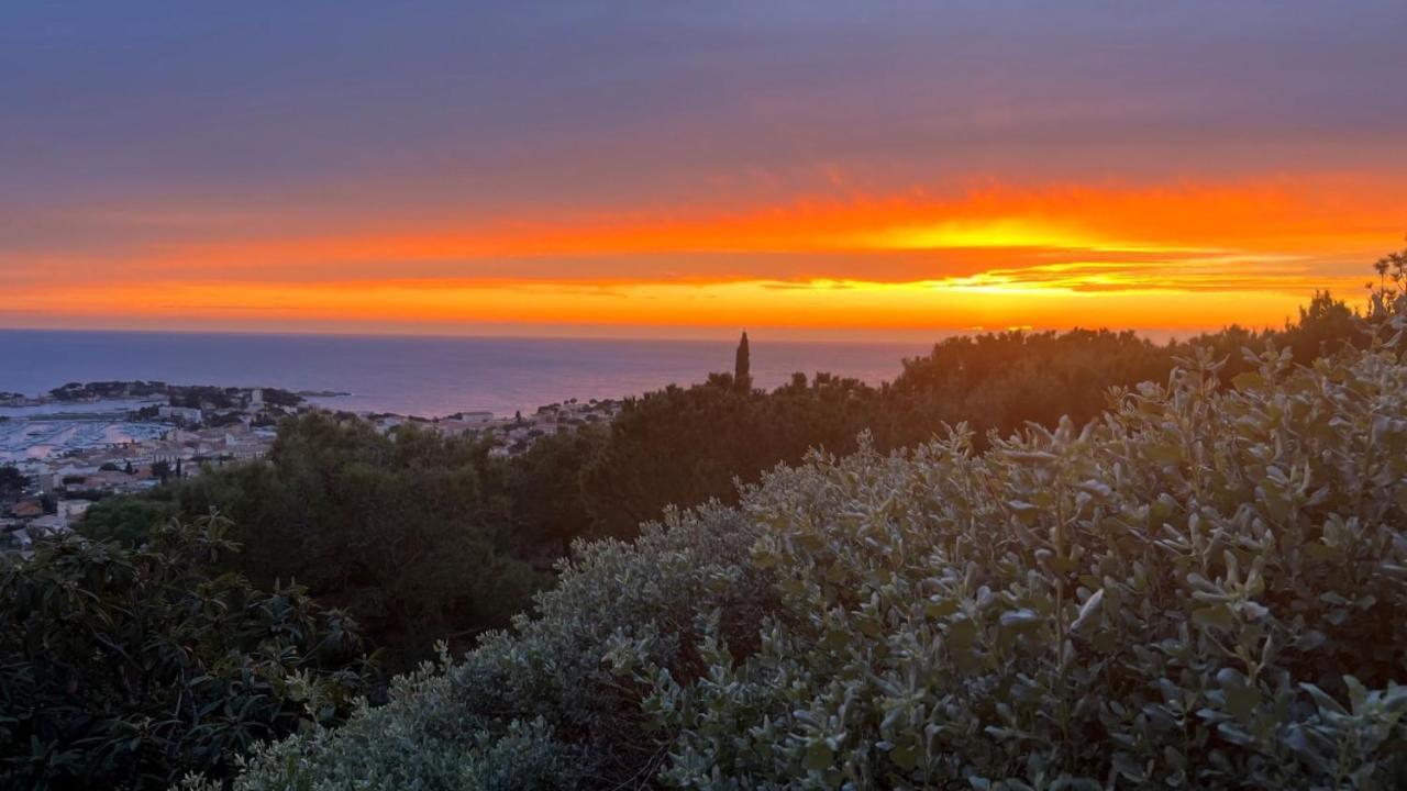 Superbe Vue Et Piscine Appartement Bandol